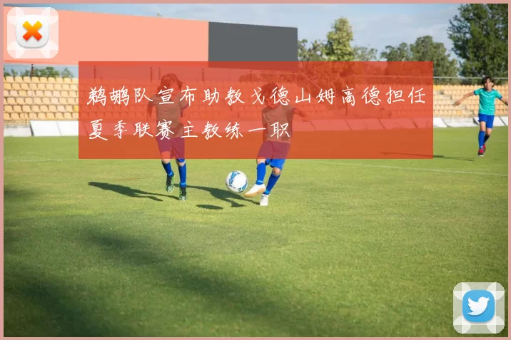 鹈鹕队宣布助教戈德山姆高德担任夏季联赛主教练一职