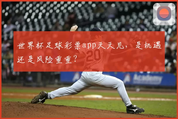 世界杯足球彩票app天天见，是机遇还是风险重重？