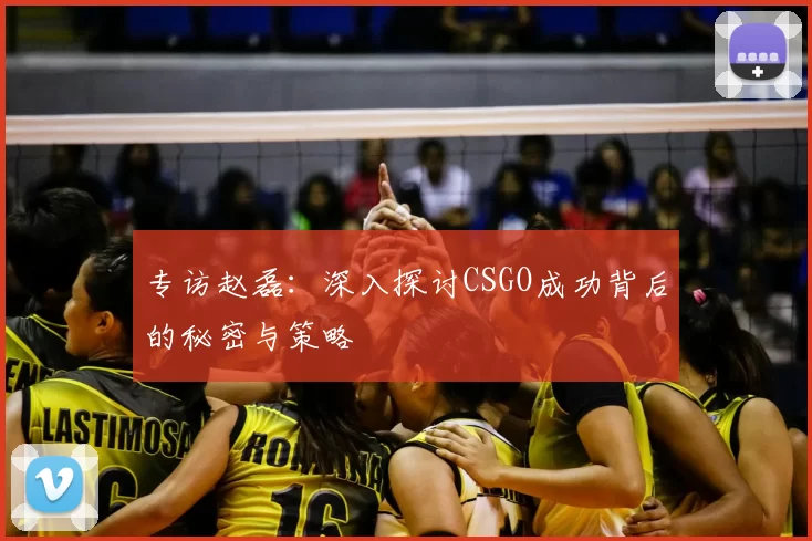 专访赵磊：深入探讨CSGO成功背后的秘密与策略