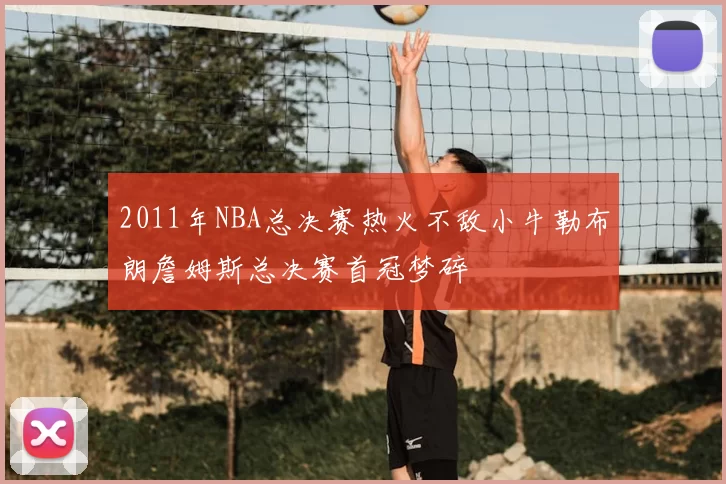 2011年NBA总决赛热火不敌小牛勒布朗詹姆斯总决赛首冠梦碎