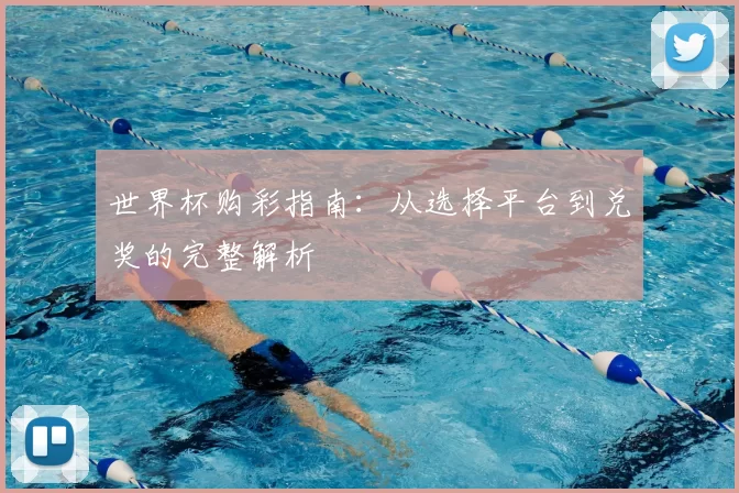 世界杯购彩指南：从选择平台到兑奖的完整解析