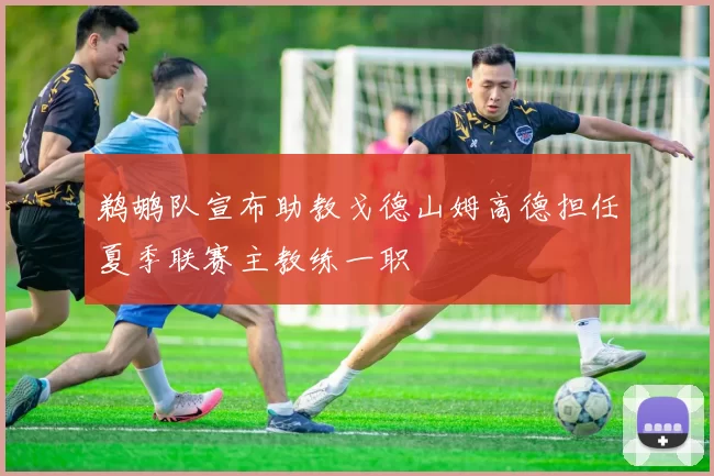 鹈鹕队宣布助教戈德山姆高德担任夏季联赛主教练一职