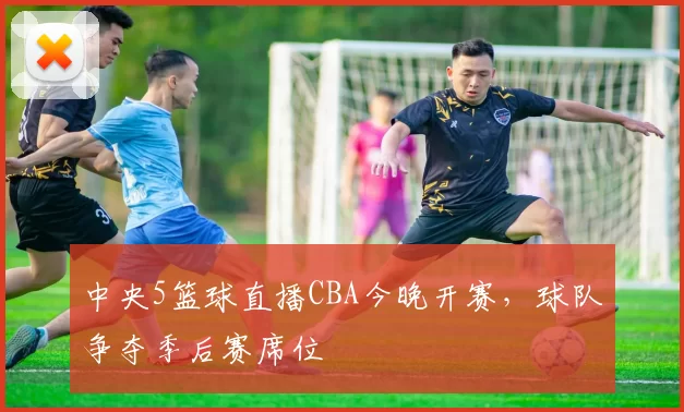 中央5篮球直播CBA今晚开赛，球队争夺季后赛席位