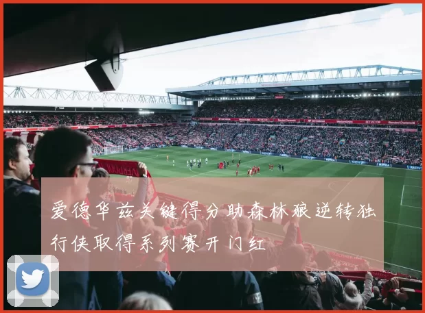 爱德华兹关键得分助森林狼逆转独行侠取得系列赛开门红