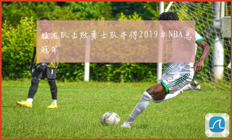 猛龙队击败勇士队夺得2019年NBA总冠军