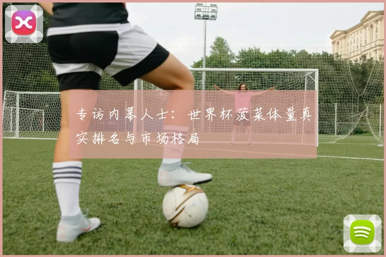 专访内幕人士：世界杯菠菜体量真实排名与市场格局