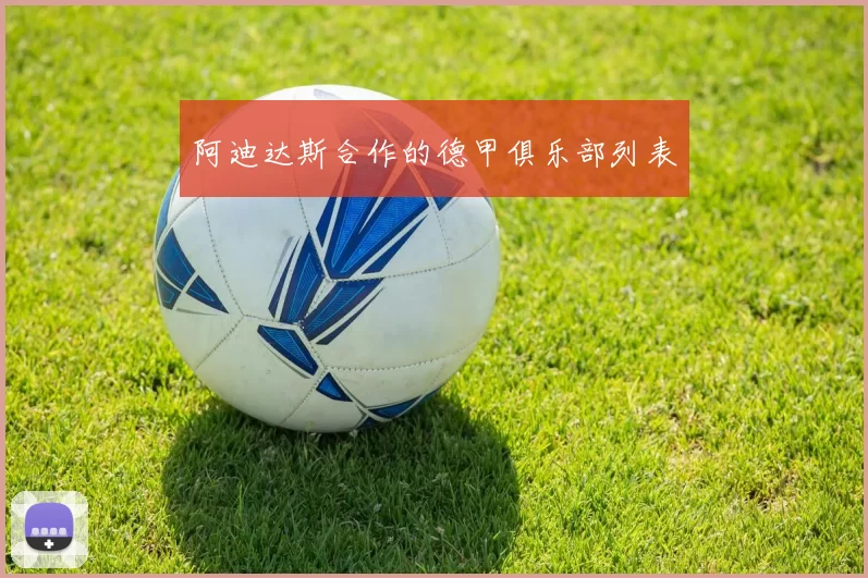 阿迪达斯合作的德甲俱乐部列表