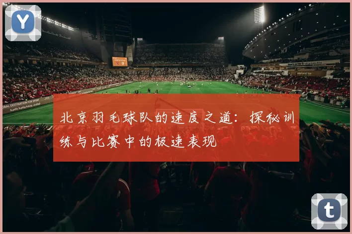 北京羽毛球队的速度之道：探秘训练与比赛中的极速表现