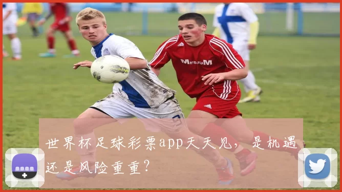 世界杯足球彩票app天天见，是机遇还是风险重重？